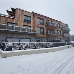 Kitzski Apartment Ski-In Ski-Out Accommodation מיטרסיל