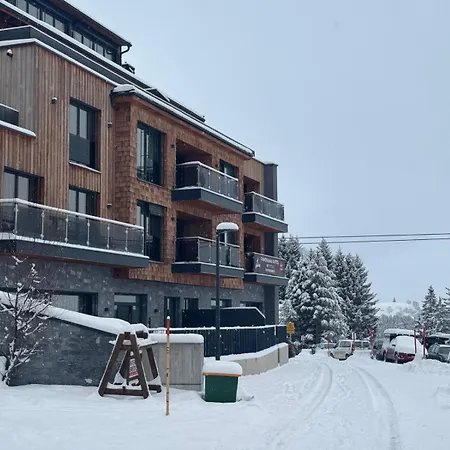 Kitzski Ski-in Ski-out Apartment Mittersill