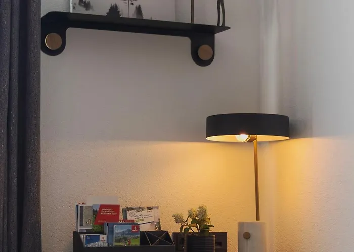 Kitzski Apartment Ski-In Ski-Out Accommodation * Mittersill