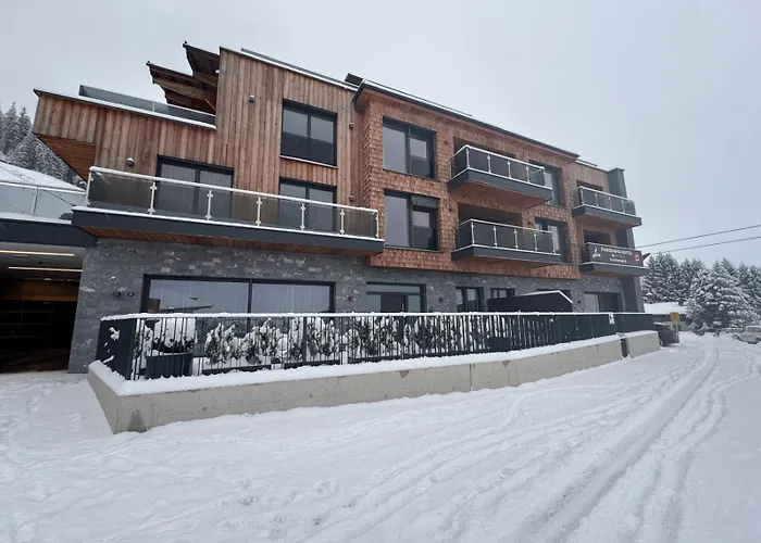 Kitzski Apartment Ski-In Ski-Out Accommodation Mittersill