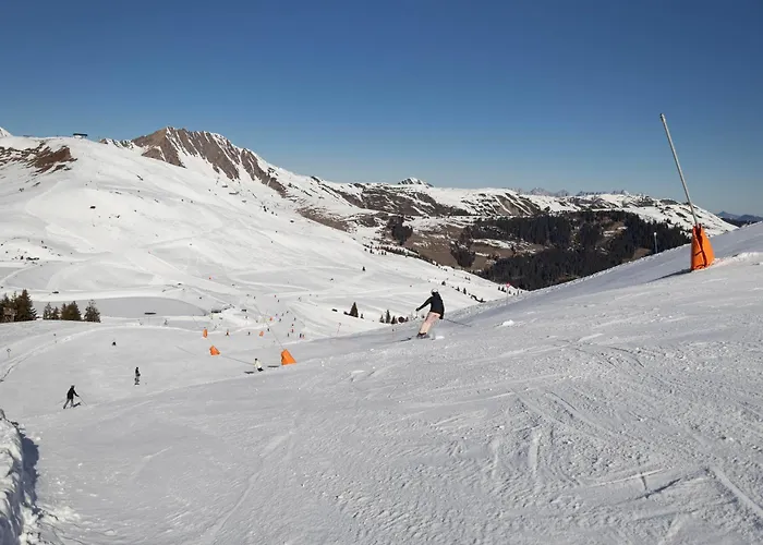 Kitzski Apartment Ski-In Ski-Out Accommodation Διαμέρισμα