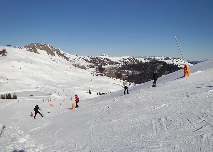 Appartement Kitzski Apartment Ski-In Ski-Out Accommodation *