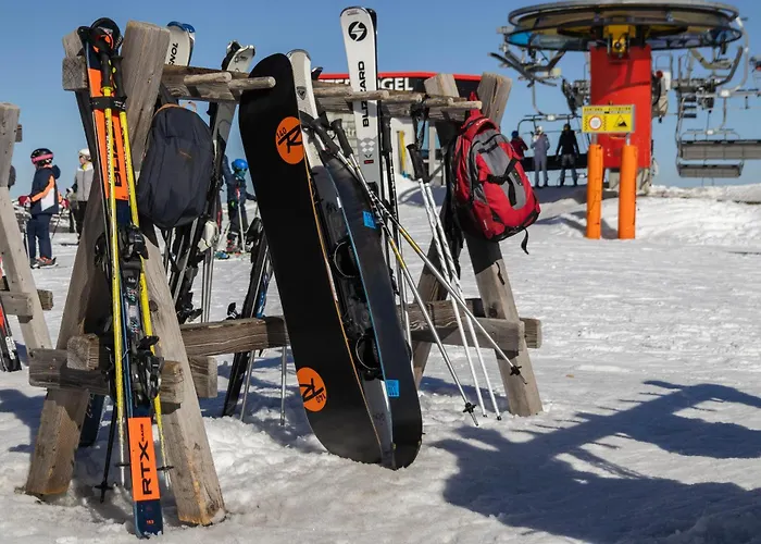 Kitzski Apartment Ski-In Ski-Out Accommodation *